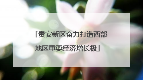 贵安新区奋力打造西部地区重要经济增长极