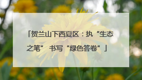 贺兰山下西夏区：执“生态之笔” 书写“绿色答卷”