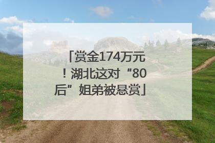 赏金174万元！湖北这对“80后”姐弟被悬赏