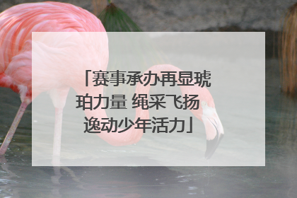 赛事承办再显琥珀力量 绳采飞扬逸动少年活力