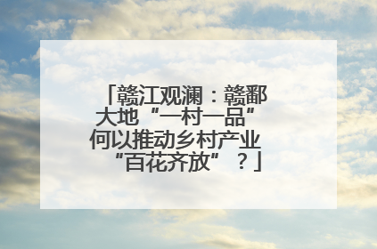 赣江观澜：赣鄱大地“一村一品”何以推动乡村产业“百花齐放”？