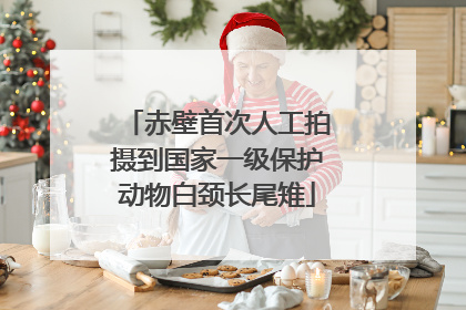 赤壁首次人工拍摄到国家一级保护动物白颈长尾雉