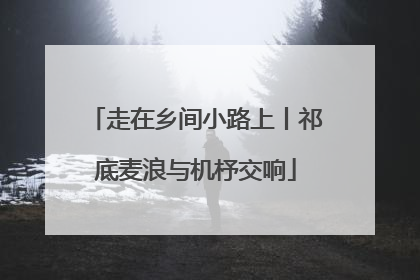 走在乡间小路上丨祁底麦浪与机杼交响