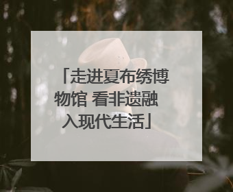 走进夏布绣博物馆 看非遗融入现代生活