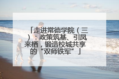 走进常德学院（三）：政策筑基、引凤来栖，锻造校城共享的“双师铁军”