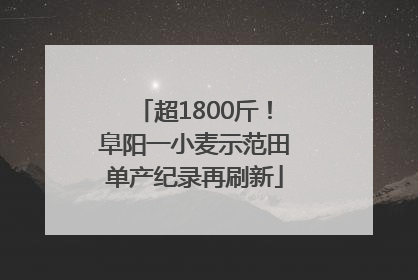 超1800斤！阜阳一小麦示范田单产纪录再刷新