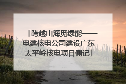 跨越山海觅绿能——电建核电公司建设广东太平岭核电项目侧记