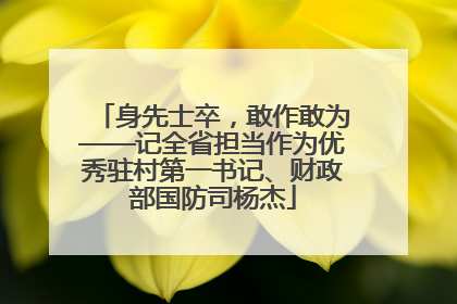 身先士卒，敢作敢为——记全省担当作为优秀驻村第一书记、财政部国防司杨杰