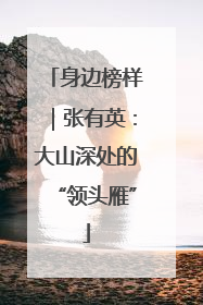 身边榜样｜张有英：大山深处的“领头雁”