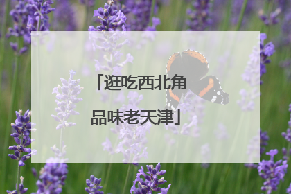 逛吃西北角 品味老天津