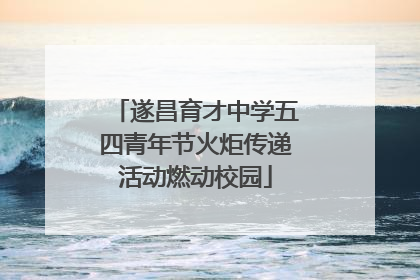 遂昌育才中学五四青年节火炬传递活动燃动校园