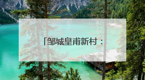邹城皇甫新村：荷塘里养虾，一亩增收6000元