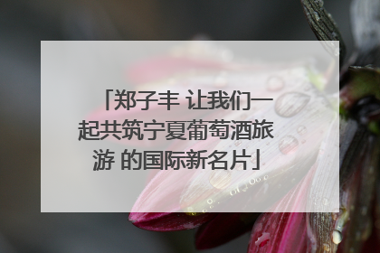 郑子丰 让我们一起共筑宁夏葡萄酒旅游 的国际新名片