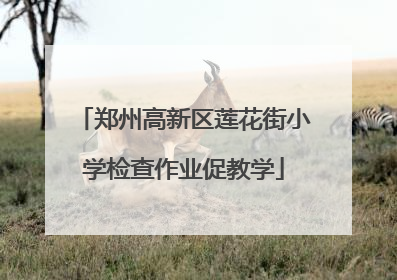 郑州高新区莲花街小学检查作业促教学