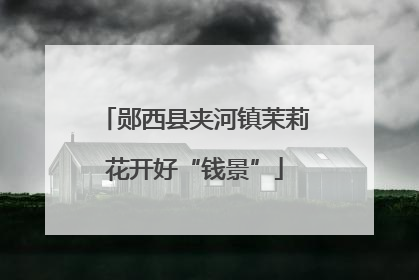 郧西县夹河镇茉莉花开好“钱景”