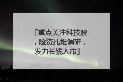 重点关注科技股，险资扎堆调研，发力长钱入市