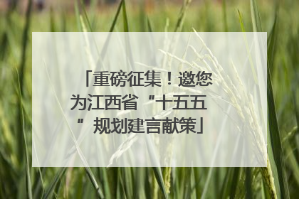 重磅征集！邀您为江西省“十五五”规划建言献策
