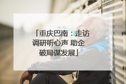 重庆巴南：走访调研听心声 助企破局谋发展