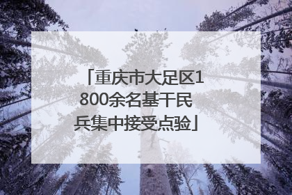 重庆市大足区1800余名基干民兵集中接受点验