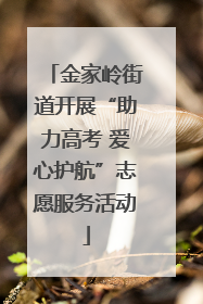金家岭街道开展“助力高考 爱心护航”志愿服务活动