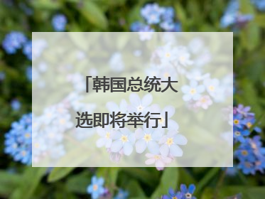 韩国总统大选即将举行