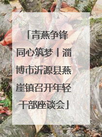青燕争锋 同心筑梦丨淄博市沂源县燕崖镇召开年轻干部座谈会