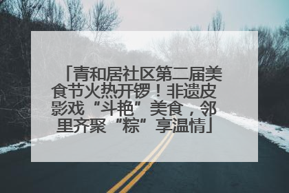青和居社区第二届美食节火热开锣！非遗皮影戏“斗艳”美食，邻里齐聚“粽”享温情