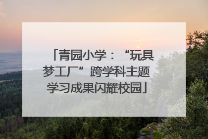 青园小学：“玩具梦工厂”跨学科主题学习成果闪耀校园
