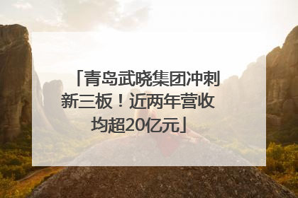 青岛武晓集团冲刺新三板！近两年营收均超20亿元