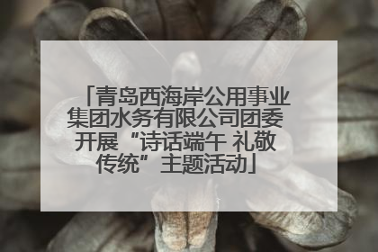 青岛西海岸公用事业集团水务有限公司团委开展“诗话端午 礼敬传统”主题活动