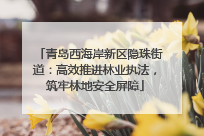 青岛西海岸新区隐珠街道：高效推进林业执法，筑牢林地安全屏障