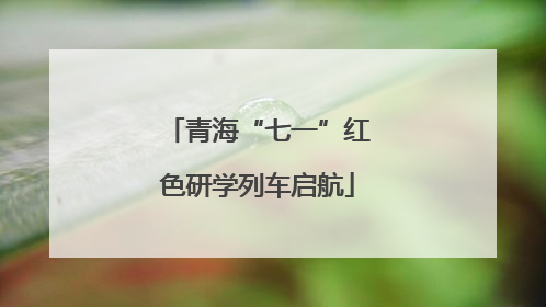 青海“七一”红色研学列车启航
