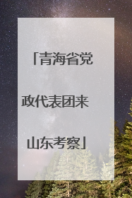 青海省党政代表团来山东考察