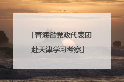 青海省党政代表团赴天津学习考察