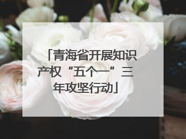 青海省开展知识产权“五个一”三年攻坚行动