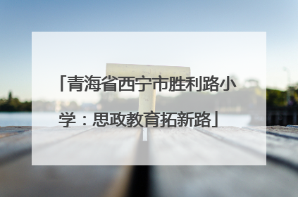 青海省西宁市胜利路小学：思政教育拓新路