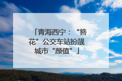 青海西宁：“簪花”公交车站扮靓城市“颜值”