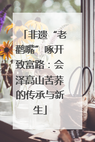非遗“老鹳嘴”啄开致富路：会泽高山苦荞的传承与新生