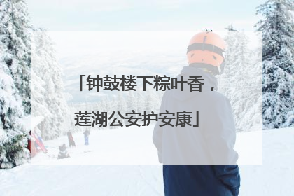 钟鼓楼下粽叶香，莲湖公安护安康