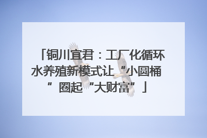 铜川宜君：工厂化循环水养殖新模式让“小圆桶”圈起“大财富”