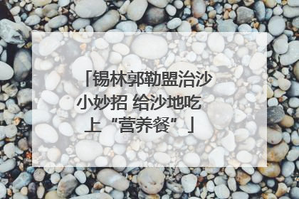 锡林郭勒盟治沙小妙招 给沙地吃上“营养餐”