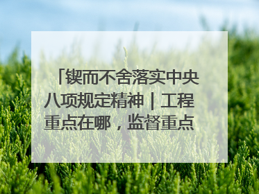 锲而不舍落实中央八项规定精神｜工程重点在哪，监督重点就在哪——广西深化政治监督护航平陆运河建设