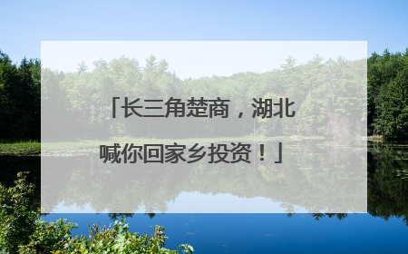长三角楚商，湖北喊你回家乡投资！