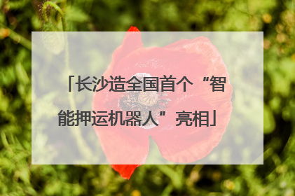 长沙造全国首个“智能押运机器人”亮相