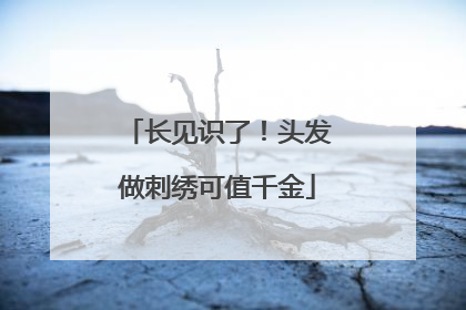 长见识了！头发做刺绣可值千金