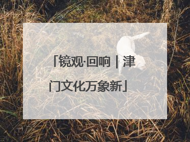 镜观·回响｜津门文化万象新
