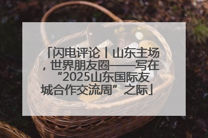闪电评论丨山东主场，世界朋友圈——写在“2025山东国际友城合作交流周”之际