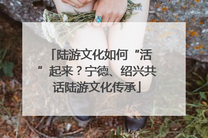 陆游文化如何“活 ”起来？宁德、绍兴共话陆游文化传承