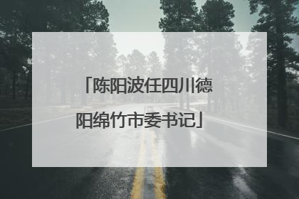 陈阳波任四川德阳绵竹市委书记