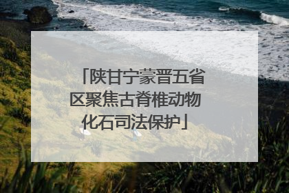 陕甘宁蒙晋五省区聚焦古脊椎动物化石司法保护